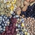 Mix colores maiz -habas y arveja - comprar online