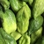 Pepino de guiso - comprar online