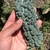 Kale toscano