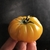 Monterrosa Naranja