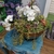 Bowl de Suculentas y Orquideas 33" - comprar en línea