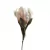 Protea Morada 32" - comprar en línea