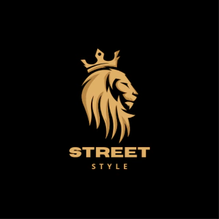Tênis Street Style