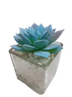 Pack X12 Plantas Artificial en Maceta Vidrio Cactus Suculenta en internet