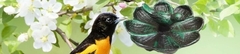 Banner de la categoría BEBEDERO / COMEDERO DE AVES