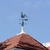 VELETA - GALLO - DECO