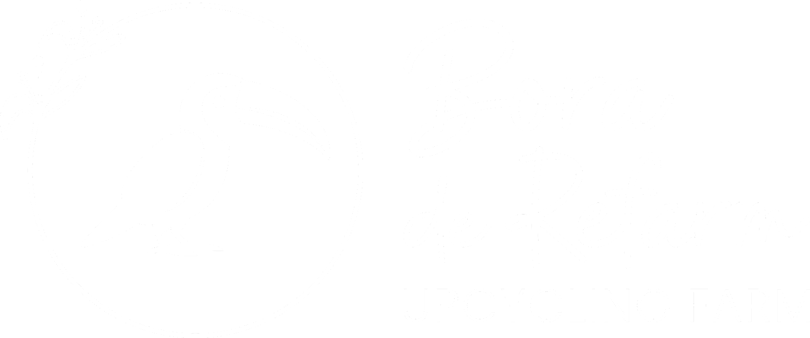 bora de reFARM - upcycling adorofarm