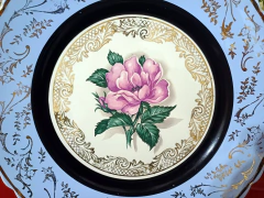 Plato Masitero / Deco Industria Nacional - comprar online