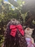 Laços mini flores na internet