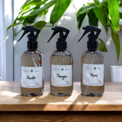 Home Spray Venezia en internet