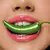 GREENCHILLI FRAN BY FRANCINY EHLKE EDIÇÃO LIMITADA na internet