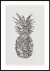 Anana Gris