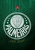palmeiras-verdao-i-ii-1-2-torcedor-jogador-dudu-24-25-ano-libertadores-verde-branco-gola-crefisa-lançamento-jpg.4