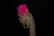 Phone strap amarelo