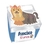 Caixinha com Tag 5un. - Pets - comprar online