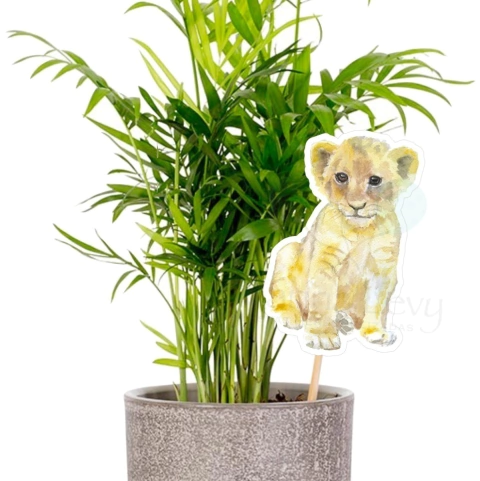 Palito - Centro Mesa 5un. - Safari