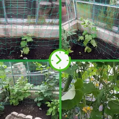 Rede de escalada para plantas celulares, 45/36/24 fios de 10x10cm, prateleiras para plantas de jardim