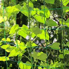 Rede de escalada para plantas celulares, 45/36/24 fios de 10x10cm, prateleiras para plantas de jardim - comprar online