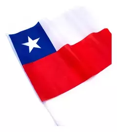 BANDERA CHILENA 60x90 CM CON PALITO - comprar online