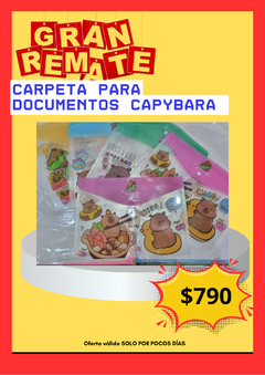 CARPETA DOCUMENTOS CAPYBARA VARIEDAD