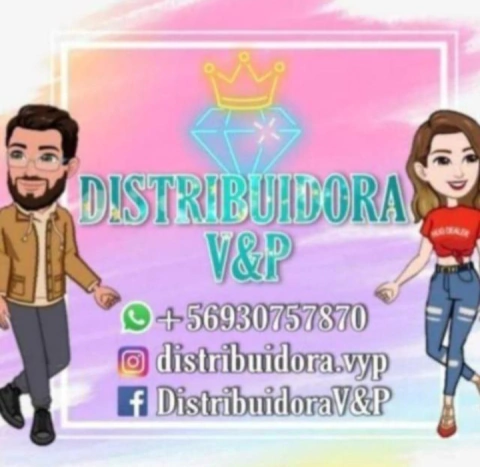 Distribuidora y comercializadora Villagrán y Palma SpA 