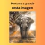 Pintura de Elefante: Um Toque de Elegância e Força para a Sua Decoração - comprar online