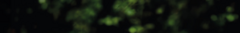 Banner de la categoría Hidratacion
