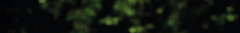 Banner de la categoría Materas