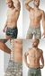 Boxer en internet
