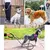 Pet Cães Arnês Ajustável Pequeno e Grande Colete De Arnês Do Cão, 150cm For - comprar online