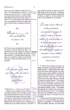 Biblia De Estudio Mujeres De Proposito Violeta en internet