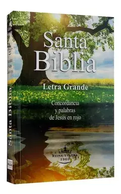 Biblia Letra Grande Palabras Jesús Rojo Reina Valera 1960 - Yumariz.2