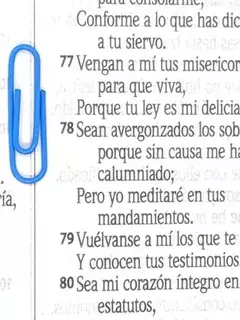 Biblia Letra Grande Palabras Jesús Rojo Reina Valera 1960 - comprar online