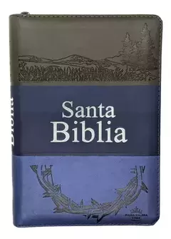 Biblia Letra Grande Cierre Indice Azul Reina Valera 1960 - comprar online