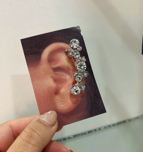 Aro trepador Aralia AQ