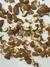ALMENDRA GUARA PARTIDA. - comprar online