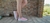 Zapatillas Panchas Elastizadas Dama