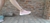 Zapatillas Panchas Elastizadas Dama - comprar online