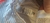 Short Caters T2 en internet
