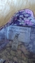 Vestido invierno Crayon - comprar online