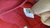 Pollera 47 con cierre - Palta Chic SECOND HAND