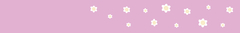 Banner de la categoría Casamientos