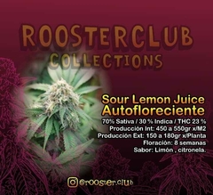 Sour Lemon Juice AUTO X3 UNIDADES