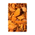 Chip's de Coco para Plantas - comprar online