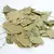 Ginkgo biloba
