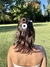 Pinzas para el pelo