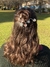 Pinza para el pelo - comprar online