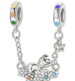 charm de seguridad