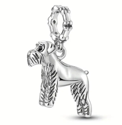 Charm Perrito
