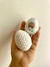 Egg Masturbador